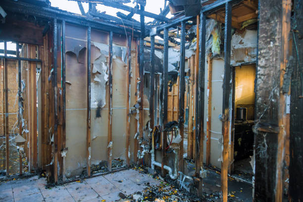 Professional Fire Damage Removal technician working in Grandy, MN